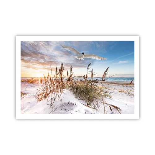 Poster - Wind uit zee - 91x61 cm