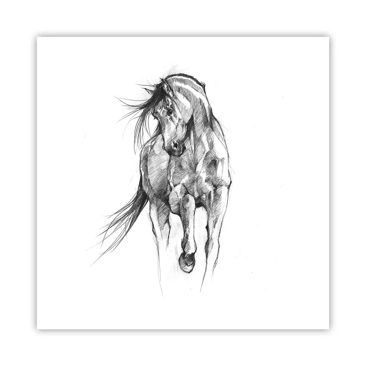 Poster - In een sierlijke draf - 60x60 cm