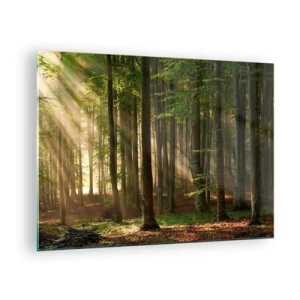 Schilderen op glas - Zonnestralen schijnen door de bomen in het bos - 70x50cm - Stralend op een lentemorgen - Moderne wanddecoratie voor woonkamer en slaapkamer ARTTOR