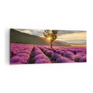 Schilderen op canvas - Lila gekleurd aroma - 120x50 cm