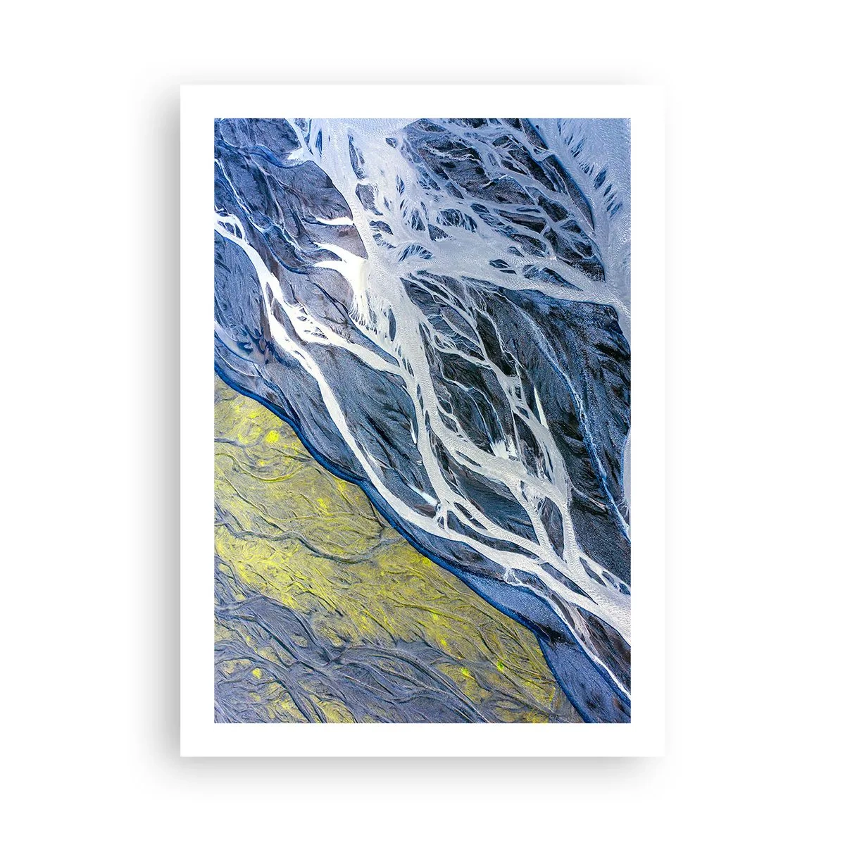 Poster - Rotstekeningen van de natuur - 50x70 cm