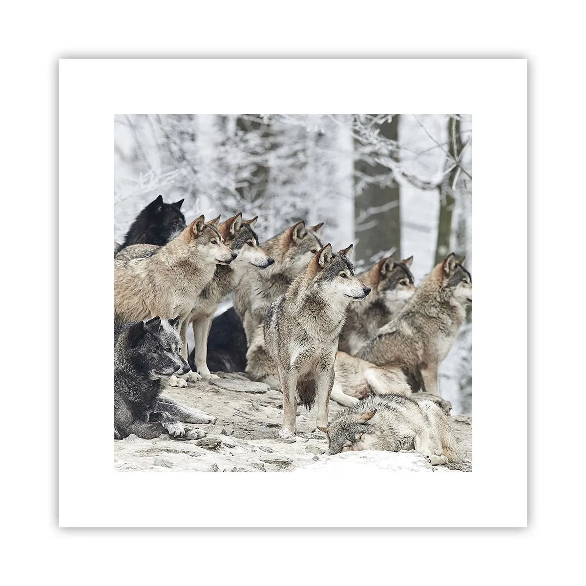Poster - Familie en vrienden - 30x30 cm
