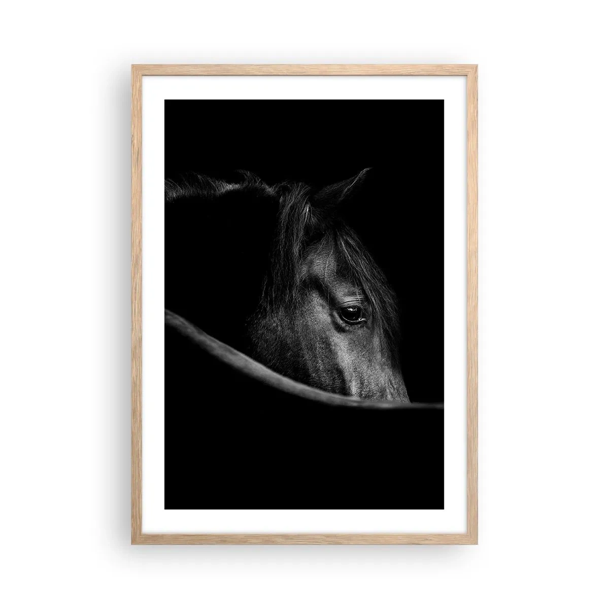 Een poster in een licht eiken lijst - Zwarte Prins - 50x70 cm