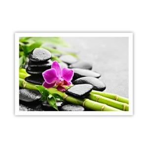 Poster - In een vrede evenwicht - 100x70 cm