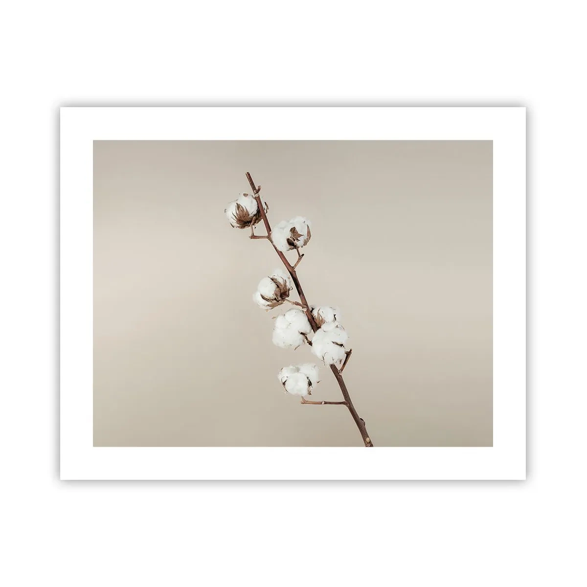 Poster - Aan de bron van zachtheid - 50x40 cm