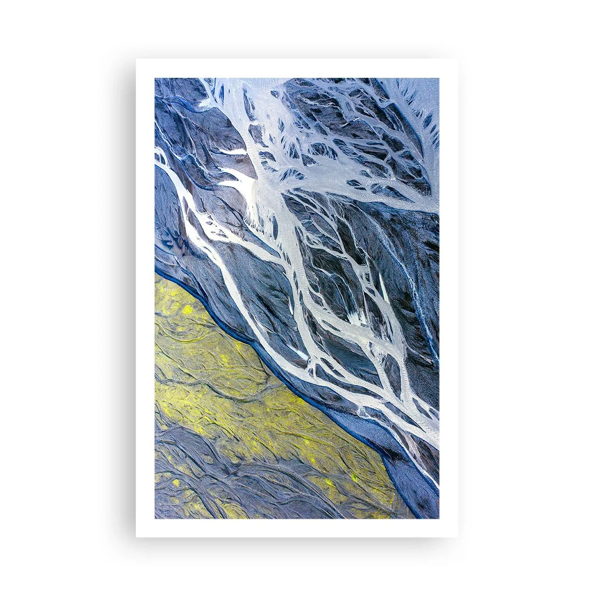 Poster - Rotstekeningen van de natuur - 61x91 cm