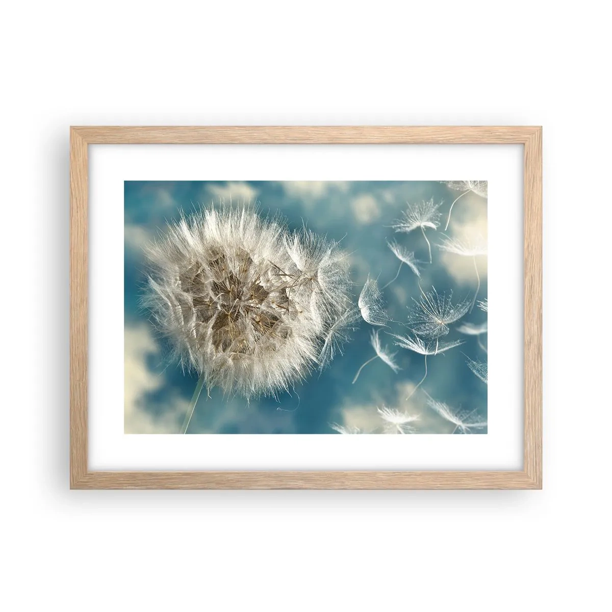 Een poster in een licht eiken lijst - Engelen adem - 40x30 cm