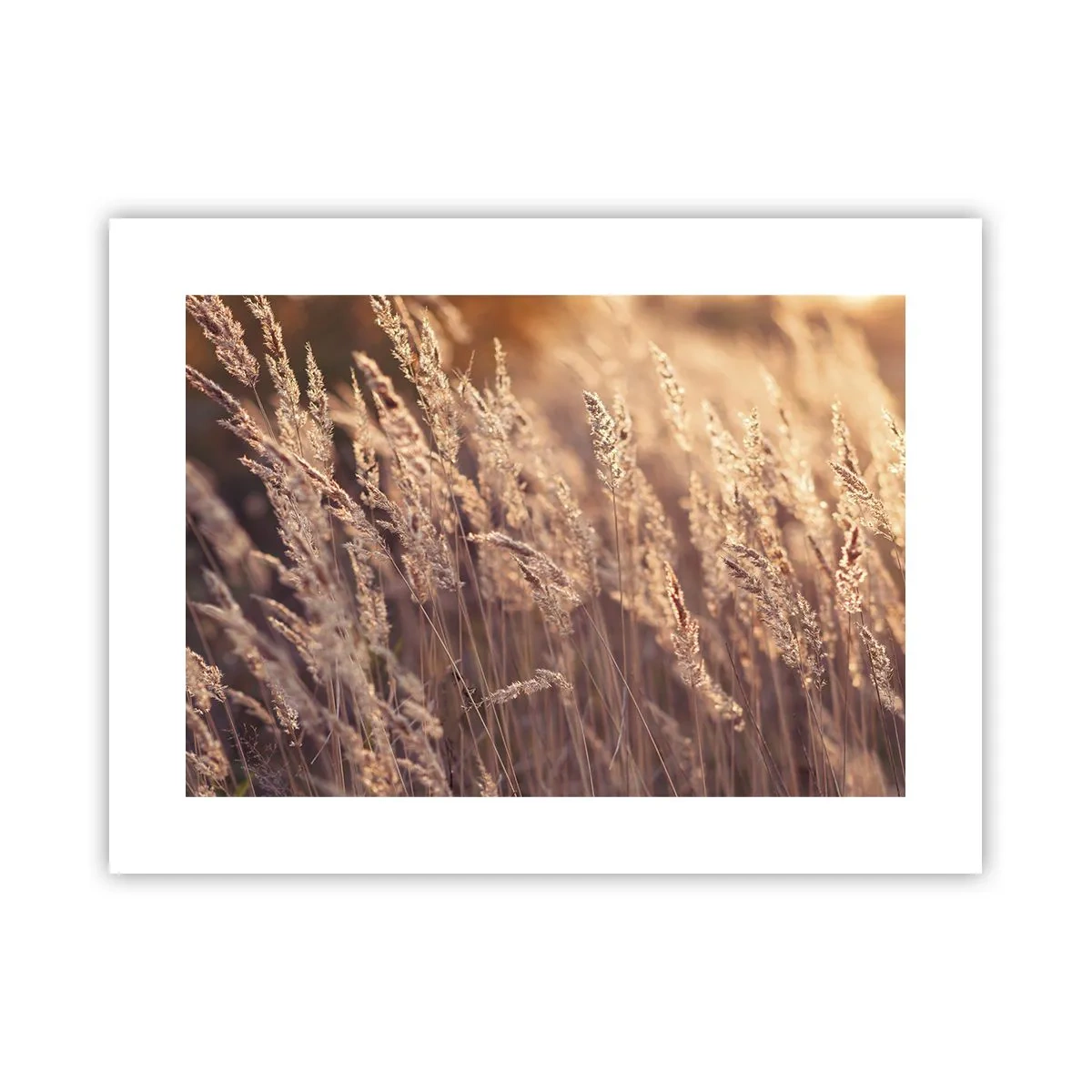 Poster - Klaar om de herfst te verwelkomen - 40x30 cm