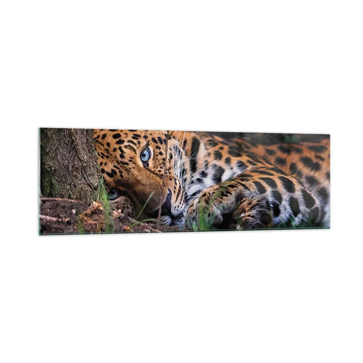 Schilderen op glas - Geloof me - 160x50 cm