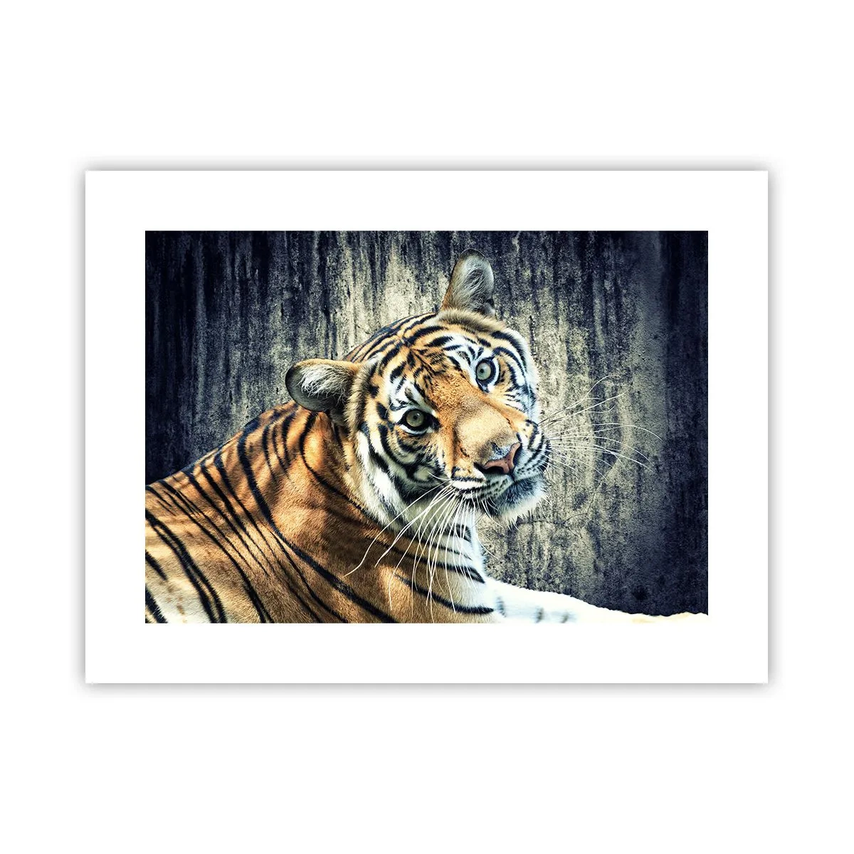 Poster - Portret in stromen van licht - 40x30 cm