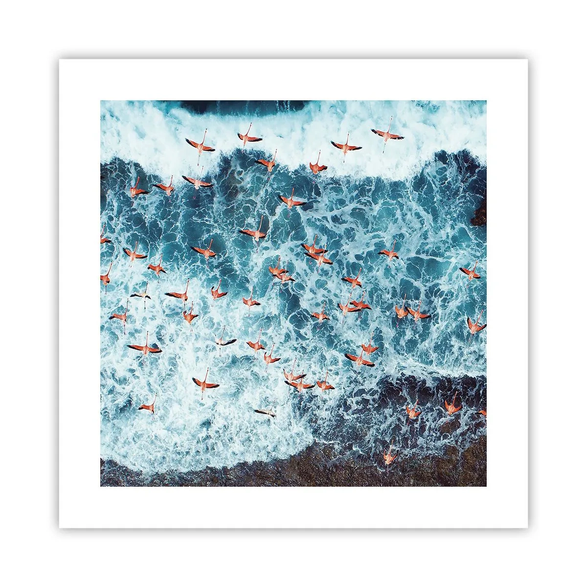 Poster - De kustparade - 40x40 cm