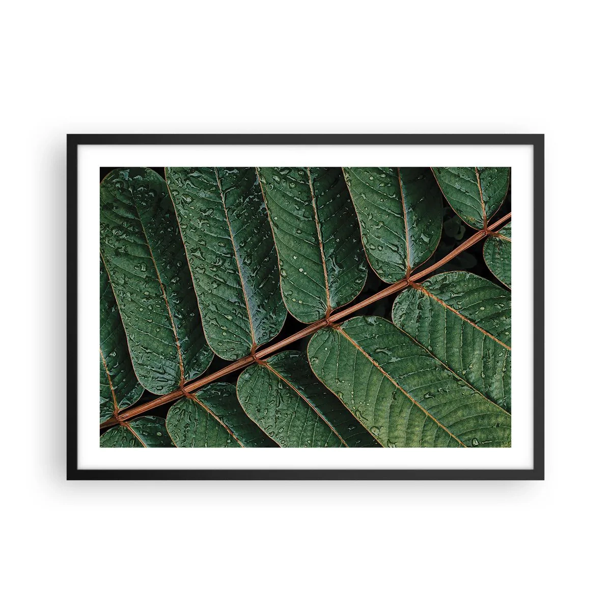 Poster in een zwarte lijst - In een groen ritme - 70x50 cm