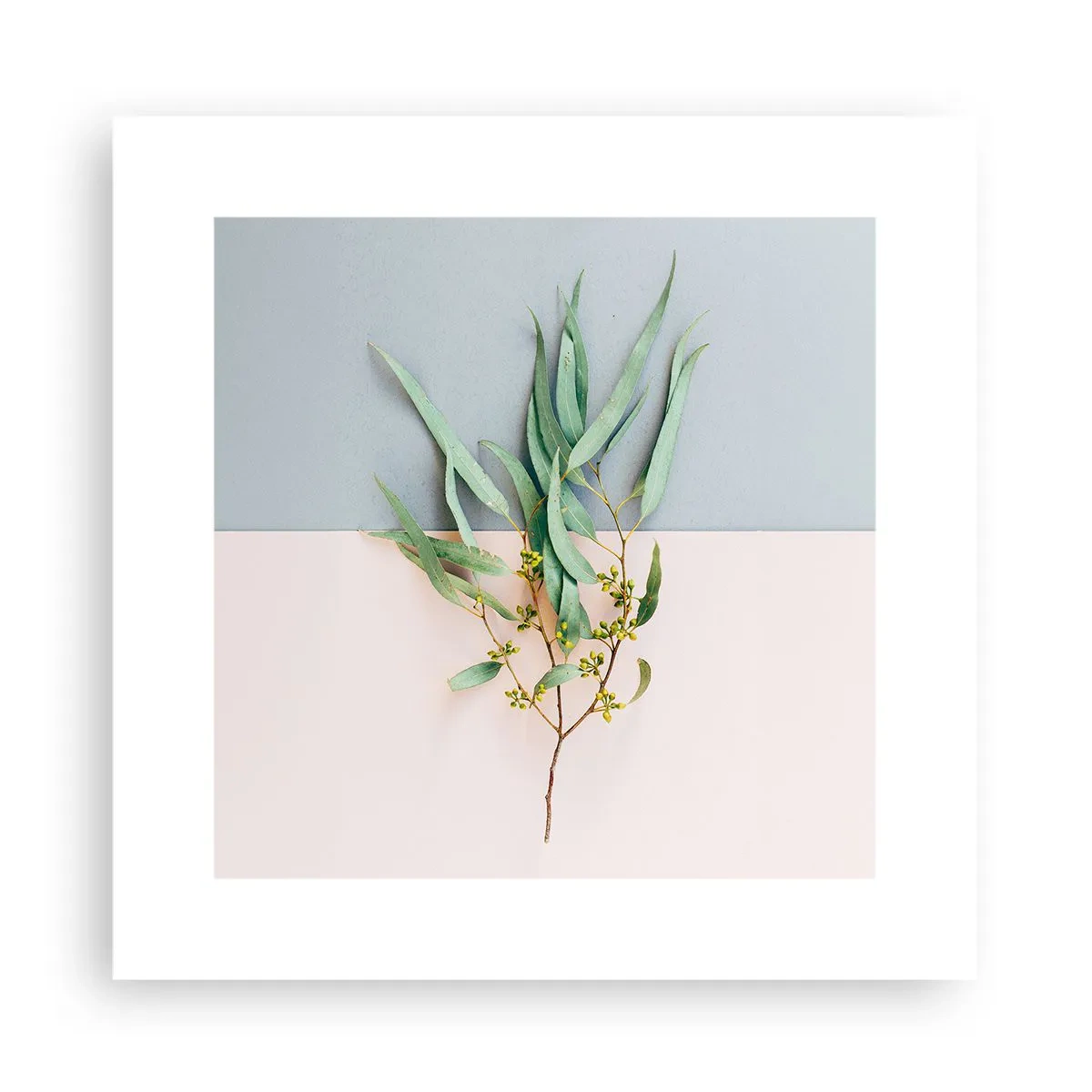 Poster - Subtiliteit in pastelkleuren - 30x30 cm