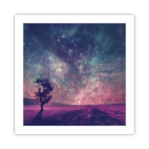 Poster - Onder de magische hemel - 50x50 cm