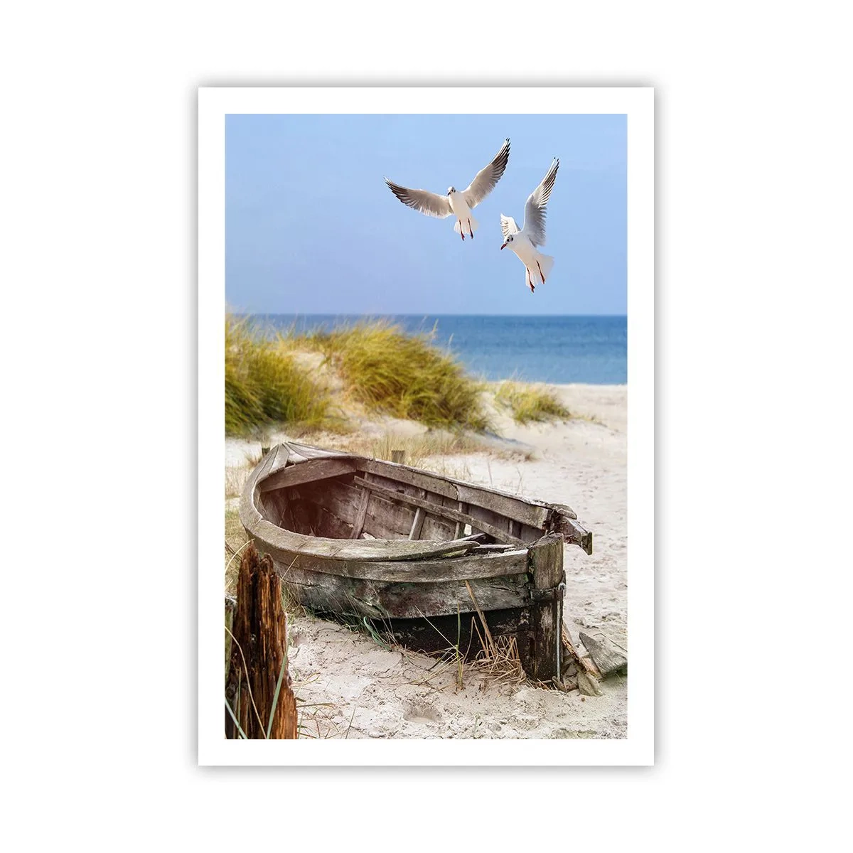 Poster - Badend in de wind - 61x91 cm