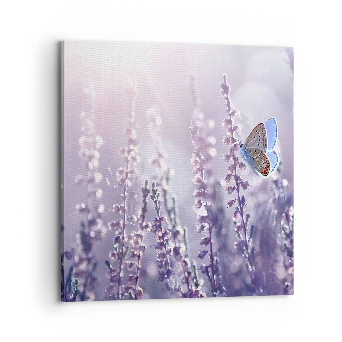 Schilderen op canvas - Vlinder kus - 70x70 cm