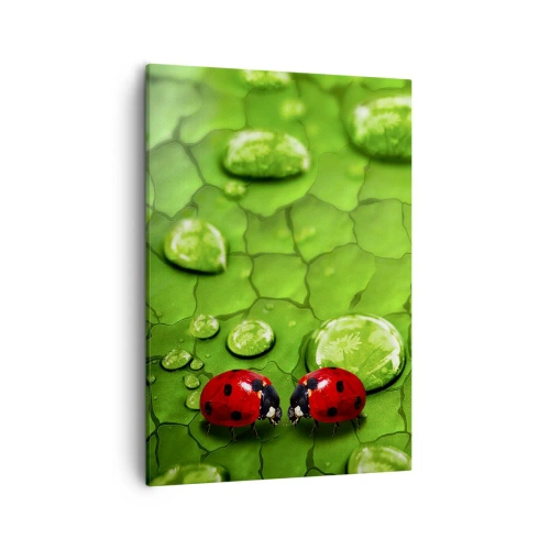 Schilderen op canvas - Ontmoeting in het groen - 50x70 cm