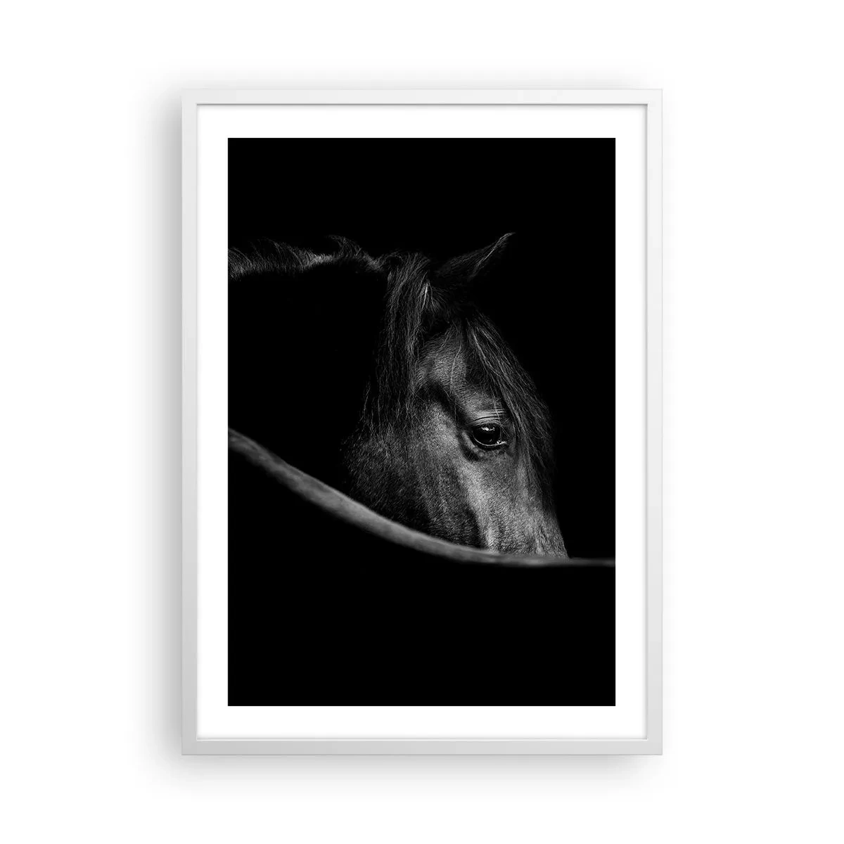 Poster in een witte lijst - Zwarte Prins - 50x70 cm