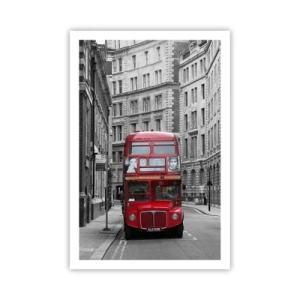 Poster - Het dagelijkse leven hoeft niet grijs te zijn - 61x91 cm