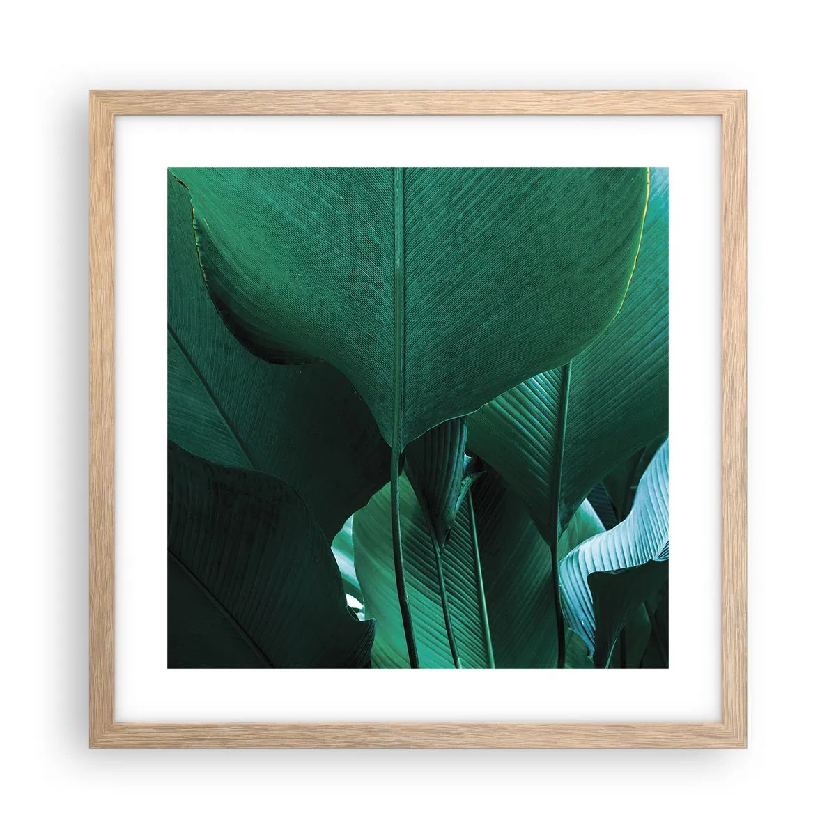 Een poster in een licht eiken lijst - Naar het licht gekeerd - 40x40 cm