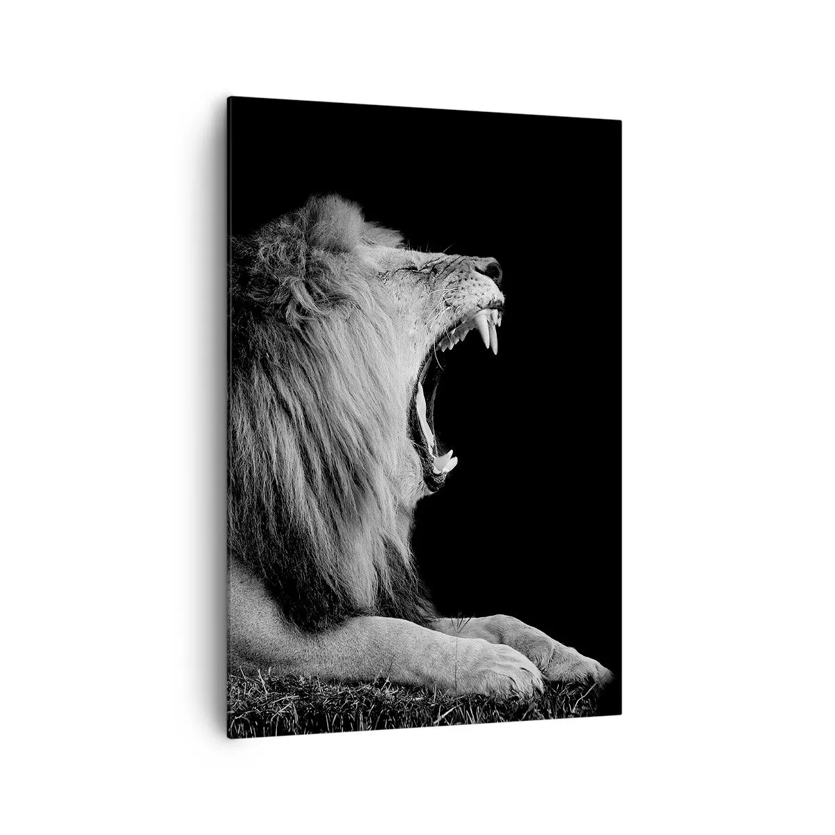 Schilderen op canvas - Zonder enige twijfel - 70x100 cm
