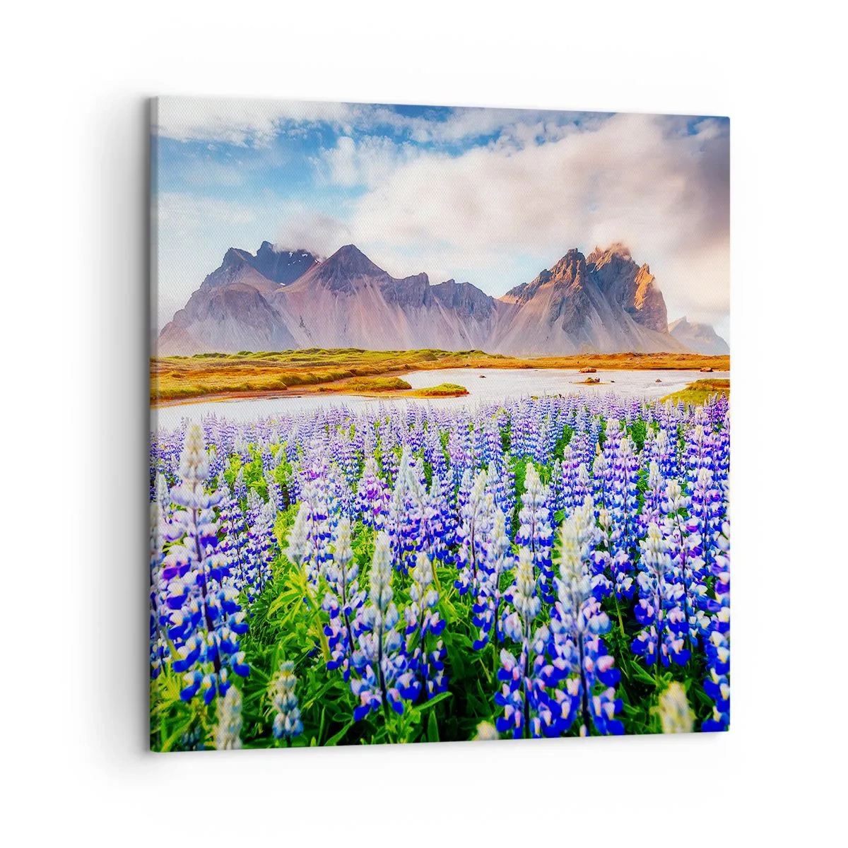 Schilderen op canvas - Kracht en soberheid naast zachtheid - 50x50 cm
