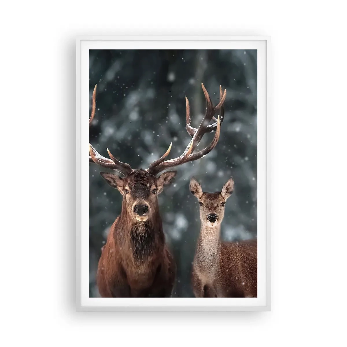 Poster in een witte lijst - Heer van het bos met zijn vrouw - 70x100 cm
