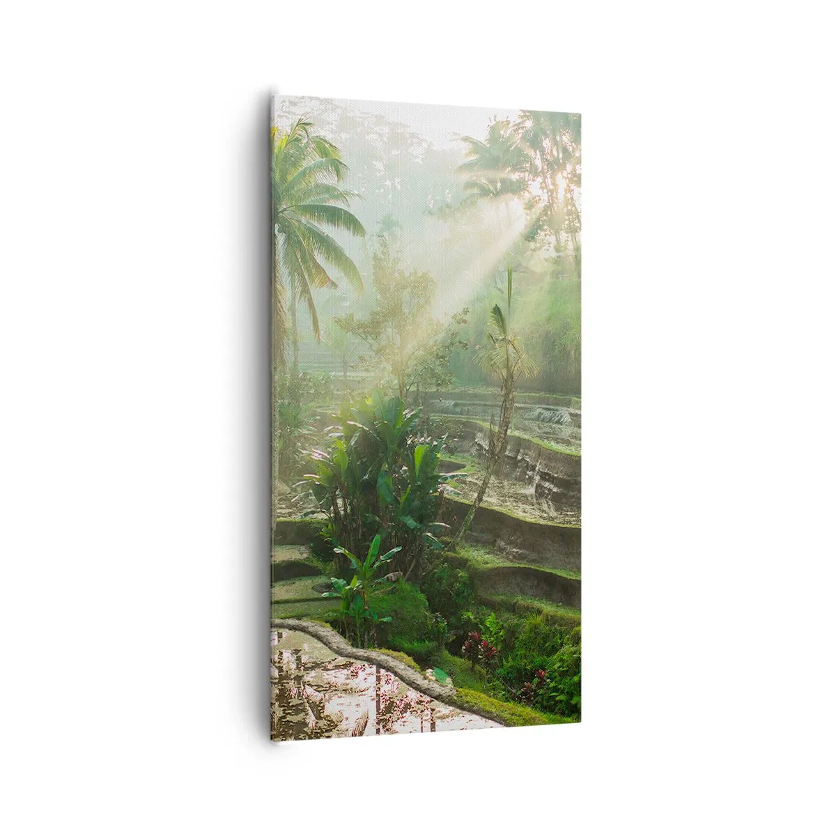 Schilderen op canvas - Opgroeien in de zon - 65x120 cm