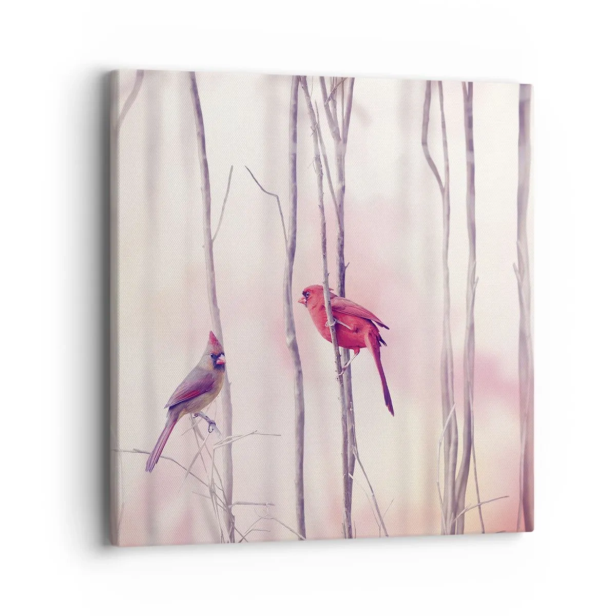 Schilderen op canvas - Verhaal van het roze woud - 40x40 cm