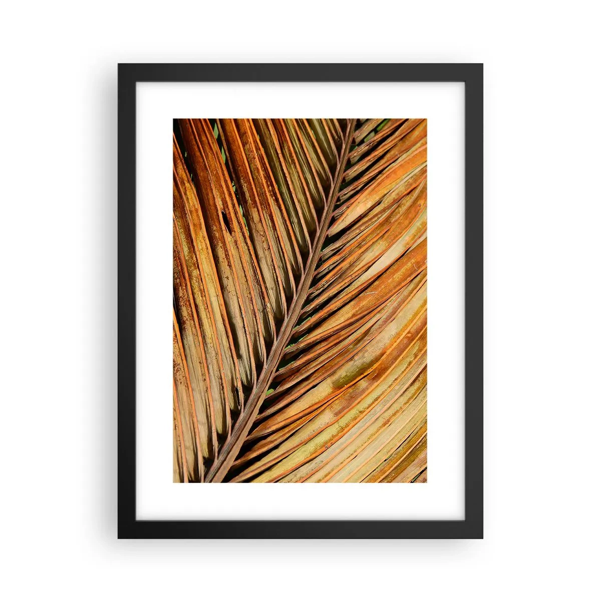 Poster in een zwarte lijst - Kokos goud - 30x40 cm