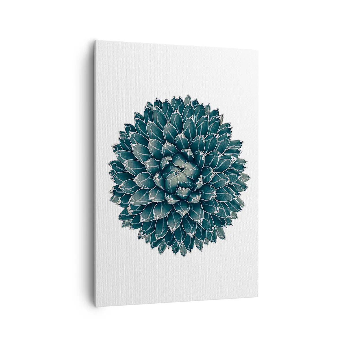 Schilderen op canvas - De ster van de woestijn - 70x100 cm