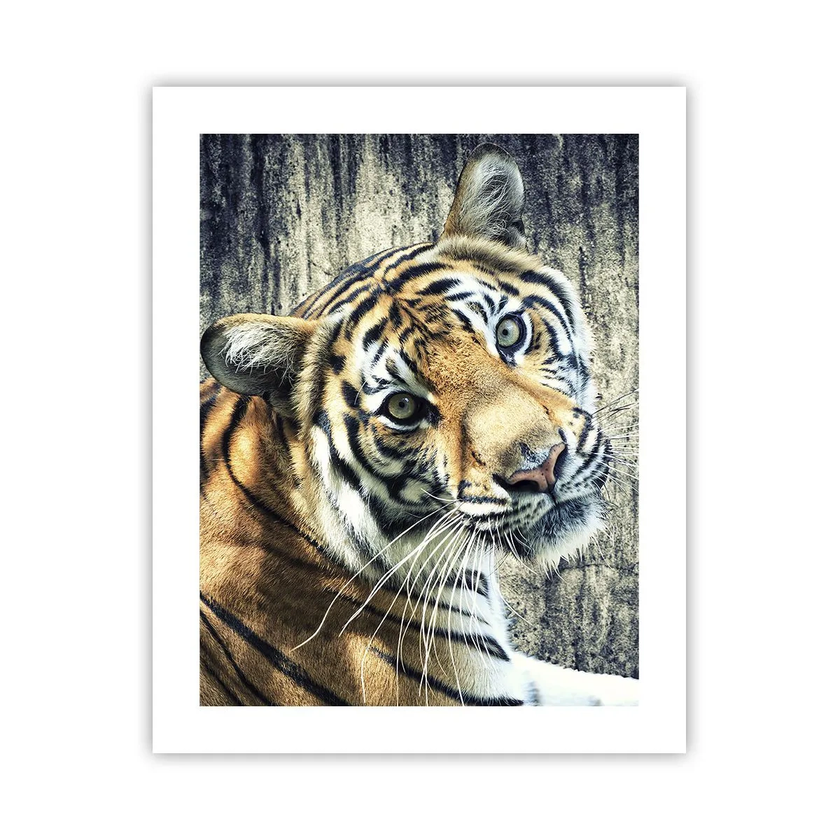 Poster - Portret in stromen van licht - 40x50 cm