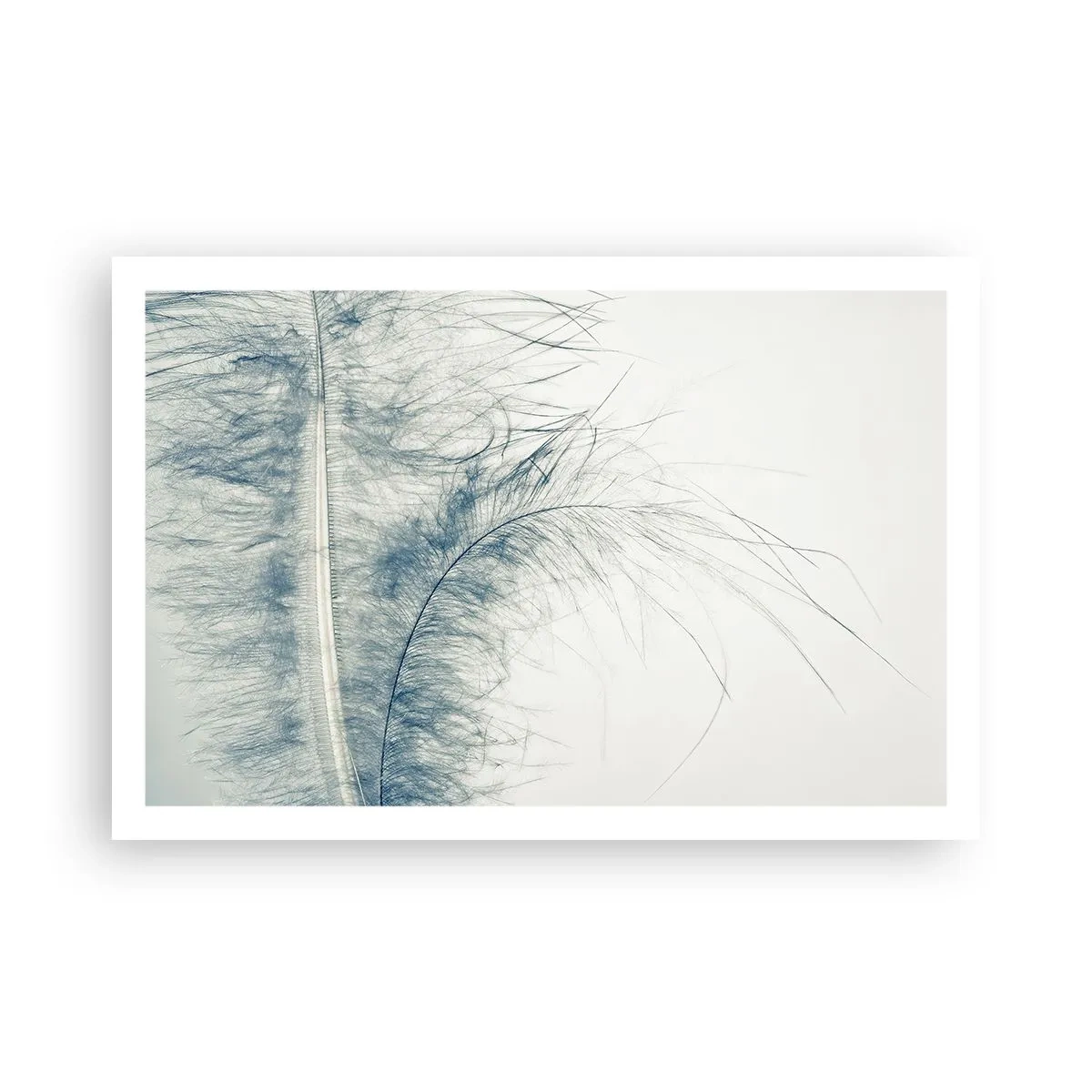 Poster - Het gefluister van de natuur - 91x61 cm