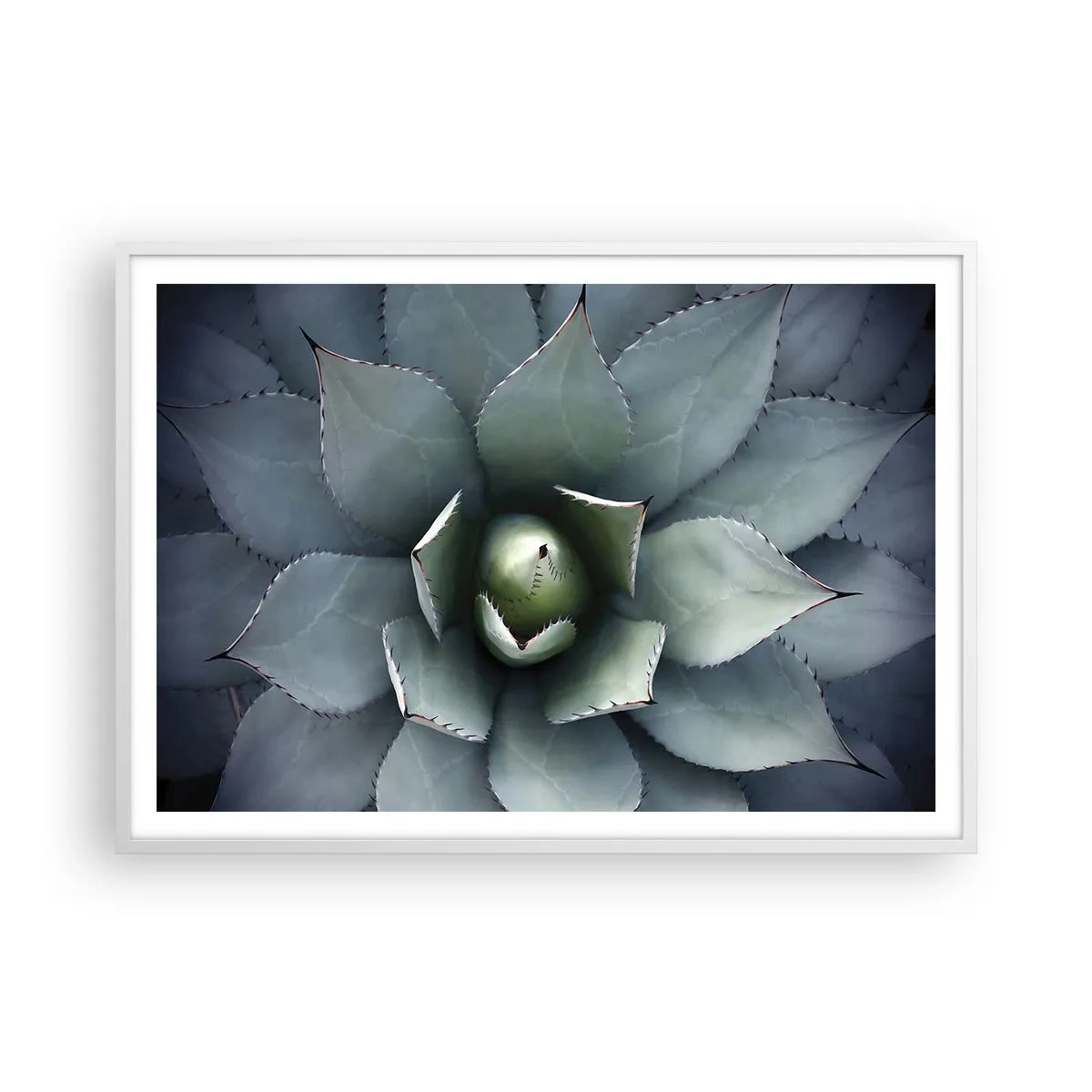 Poster in een witte lijst - Het trekt aan en waarschuwt - 100x70 cm