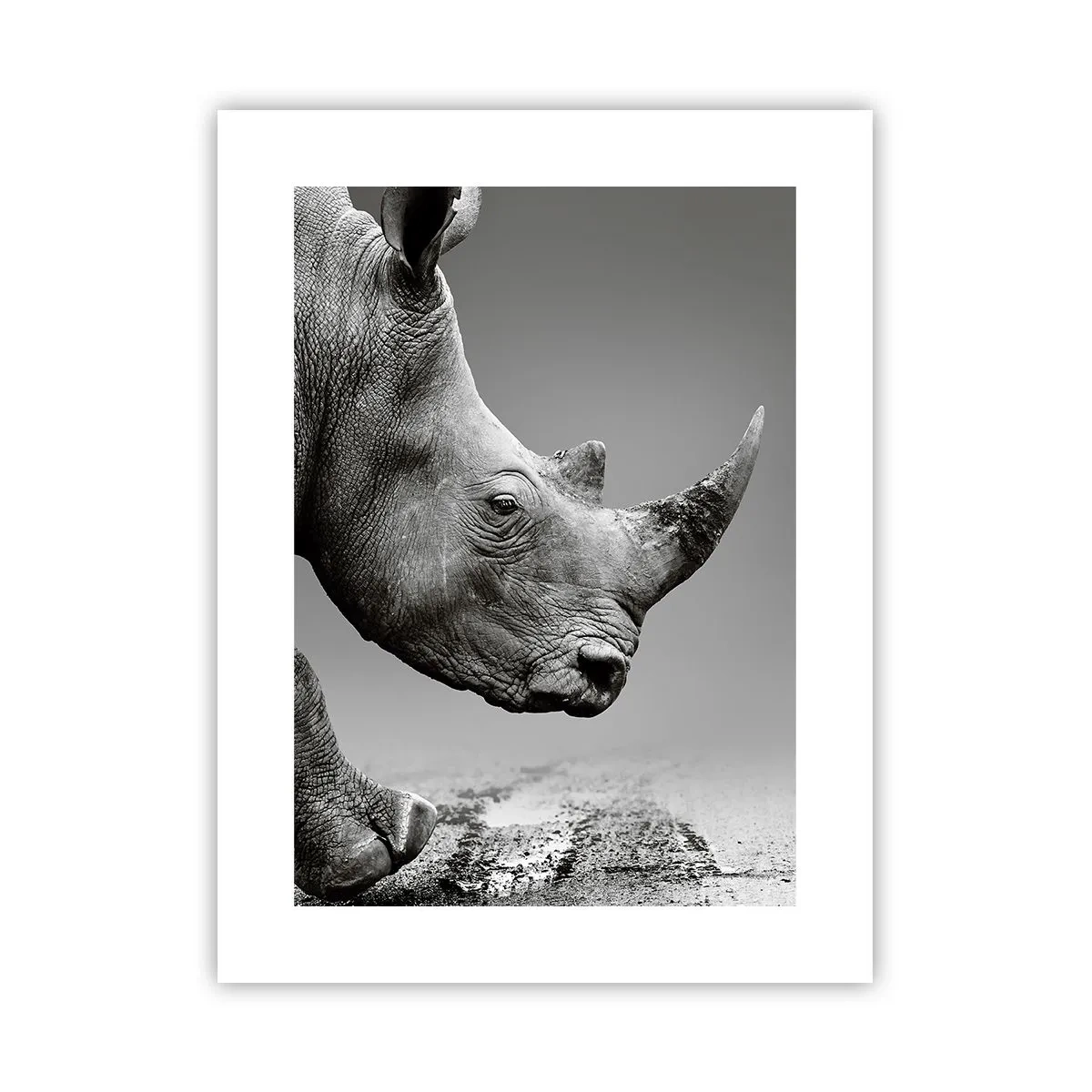 Poster - Onstuitbare kracht - 30x40 cm