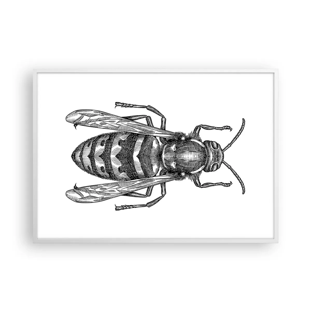 Poster in een witte lijst - Van een insectenplaneet - 100x70 cm