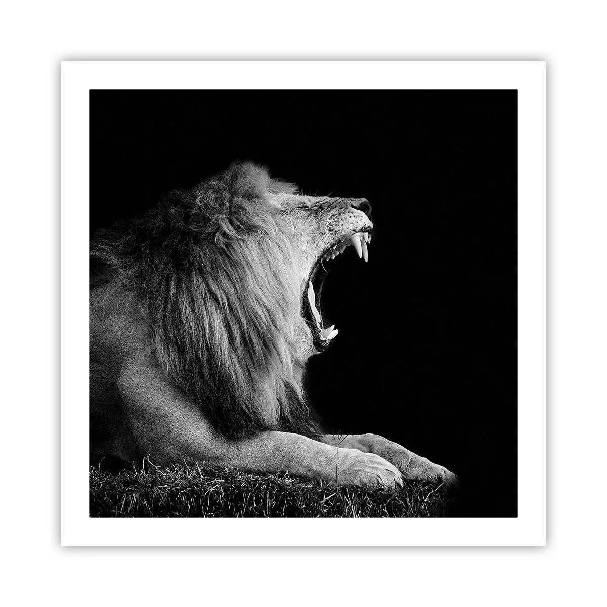 Poster - Zonder enige twijfel - 60x60 cm