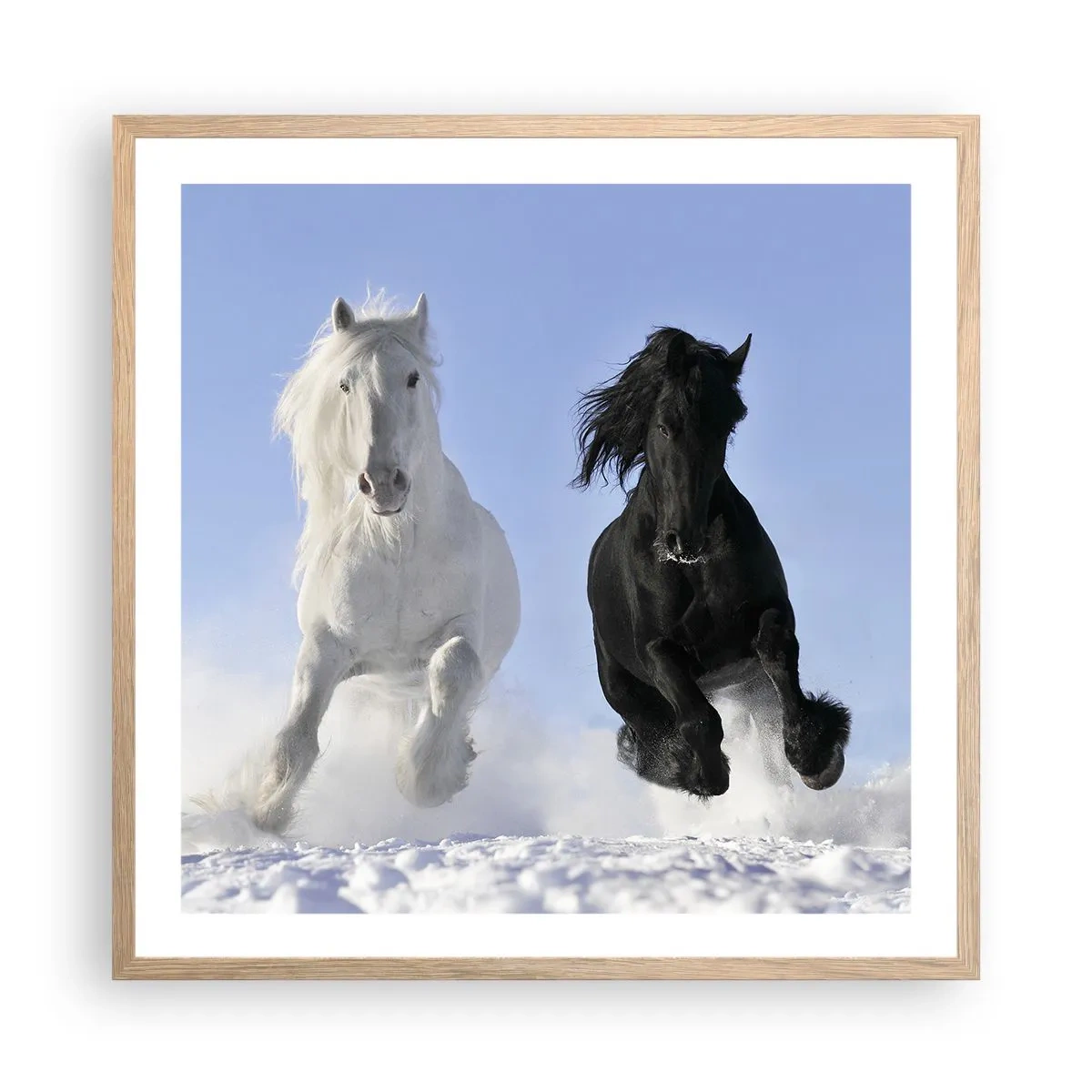 Een poster in een licht eiken lijst - Zwart-wit galop - 60x60 cm