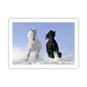 Poster - Zwart-wit galop - 70x50 cm
