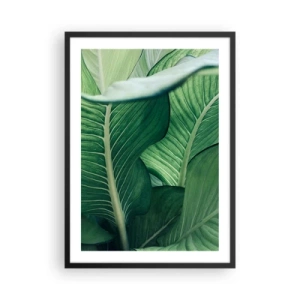 Poster in een zwarte lijst - Close-up van de groene bladeren van een plant - 50x70cm - Intens groen leven - Moderne wanddecoratie voor woonkamer en slaapkamer ARTTOR