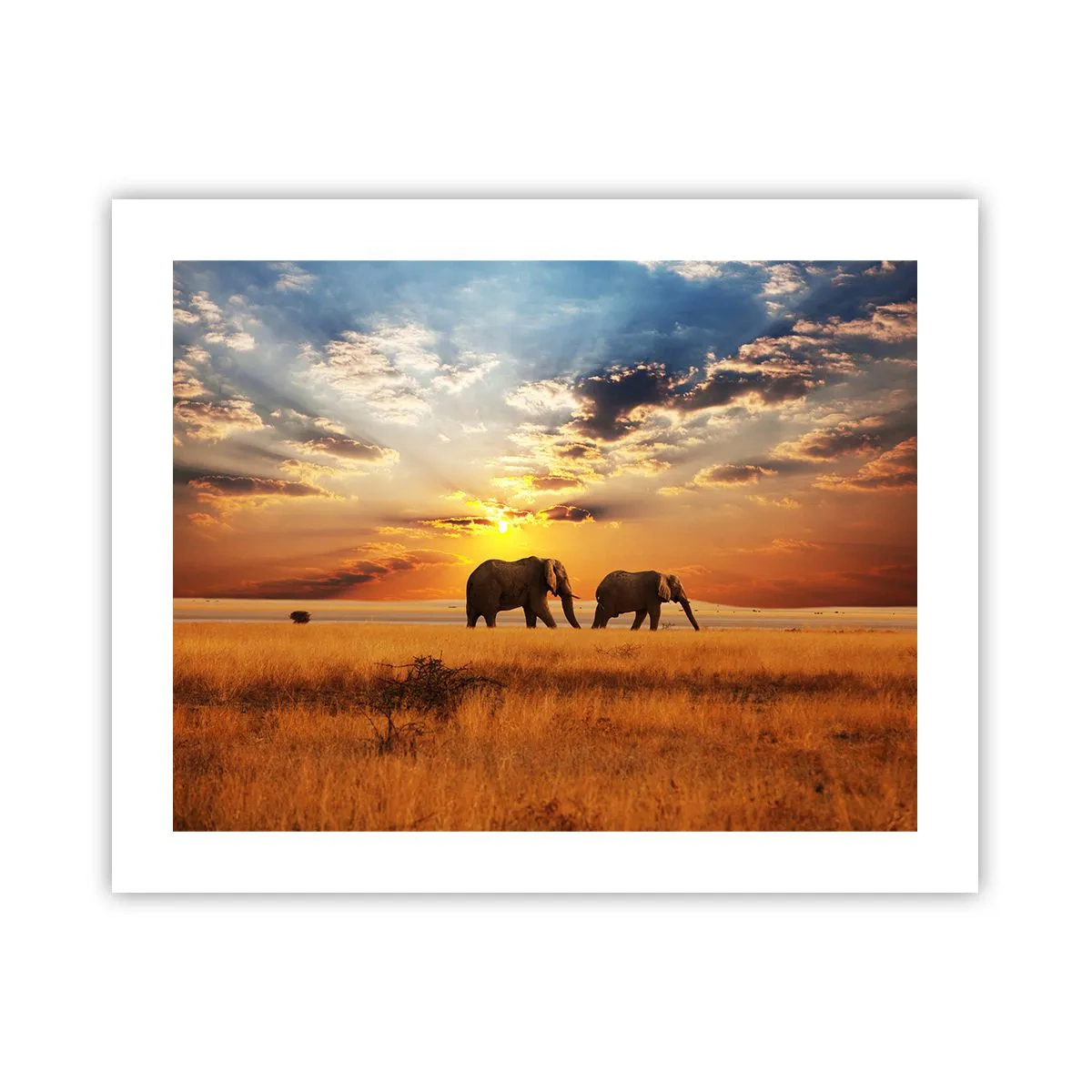 Poster - Familie wandeling - 50x40 cm