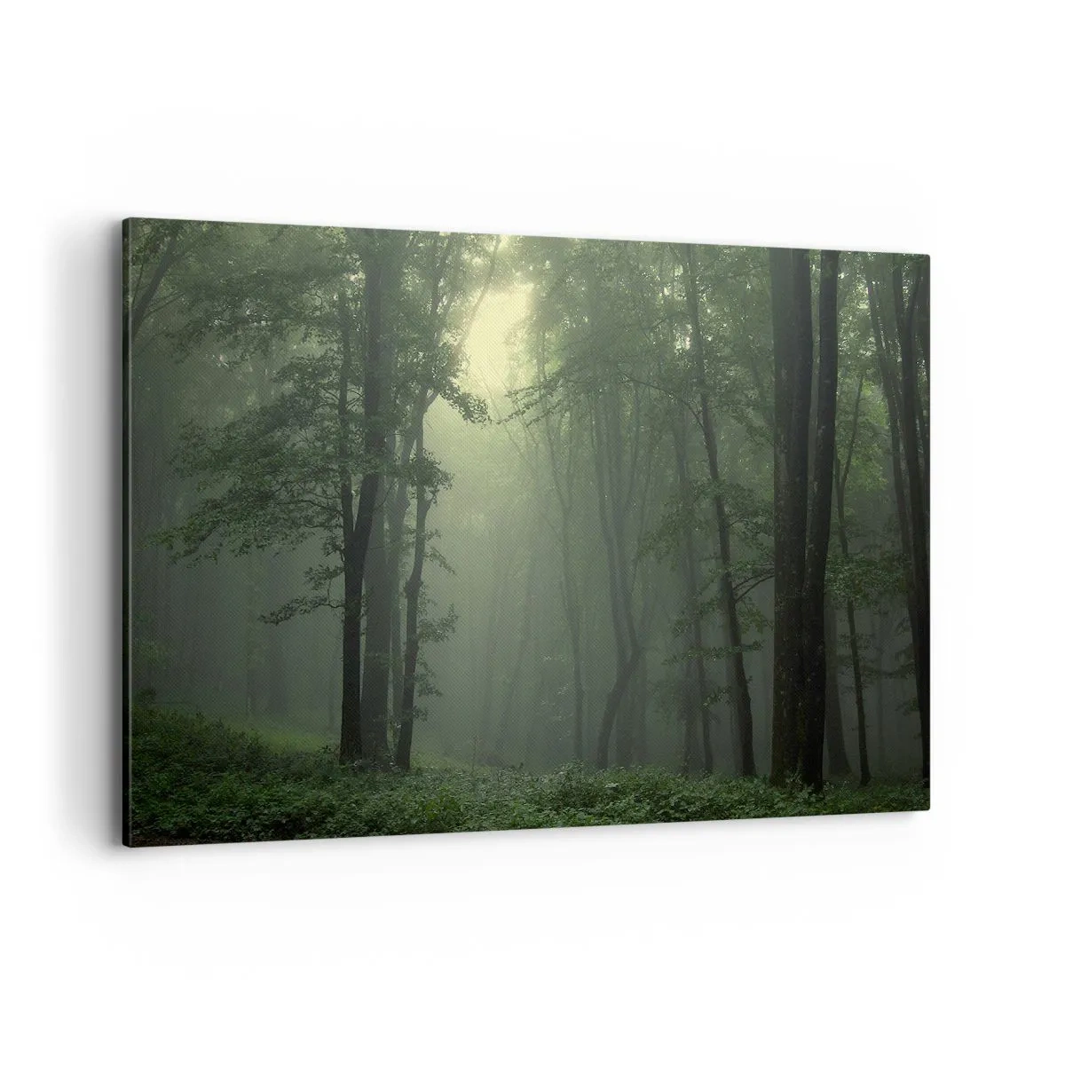 Schilderen op canvas - Voordat hij wakker wordt - 120x80 cm
