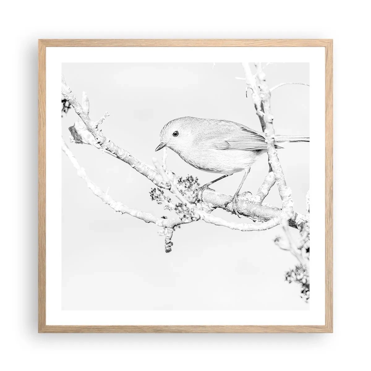 Een poster in een licht eiken lijst - Winterochtend - 60x60 cm