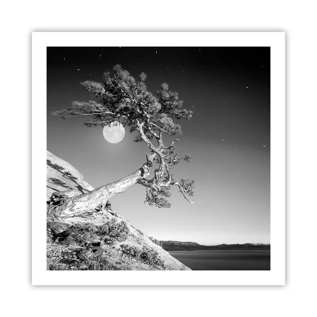 Poster - Een zegevierende jager - 60x60 cm