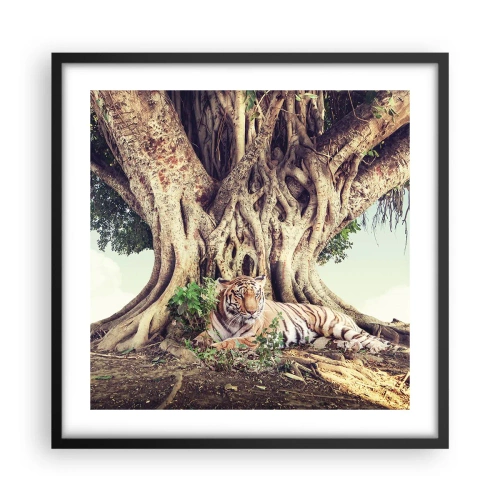 Poster in een zwarte lijst - Uitzicht vanuit het boek Genesis - 50x50 cm