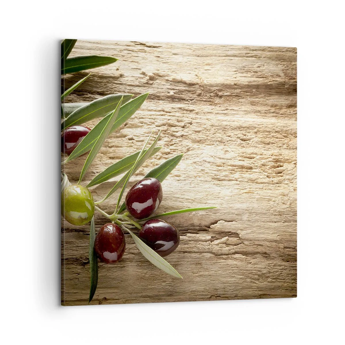 Schilderen op canvas - Rechtstreeks uit de natuur - 50x50 cm