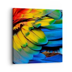 Schilderen op canvas - Paradijsvogel - 30x30 cm