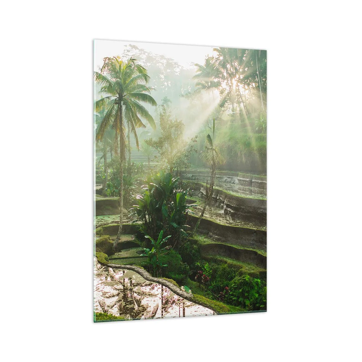 Schilderen op glas - Opgroeien in de zon - 70x100 cm