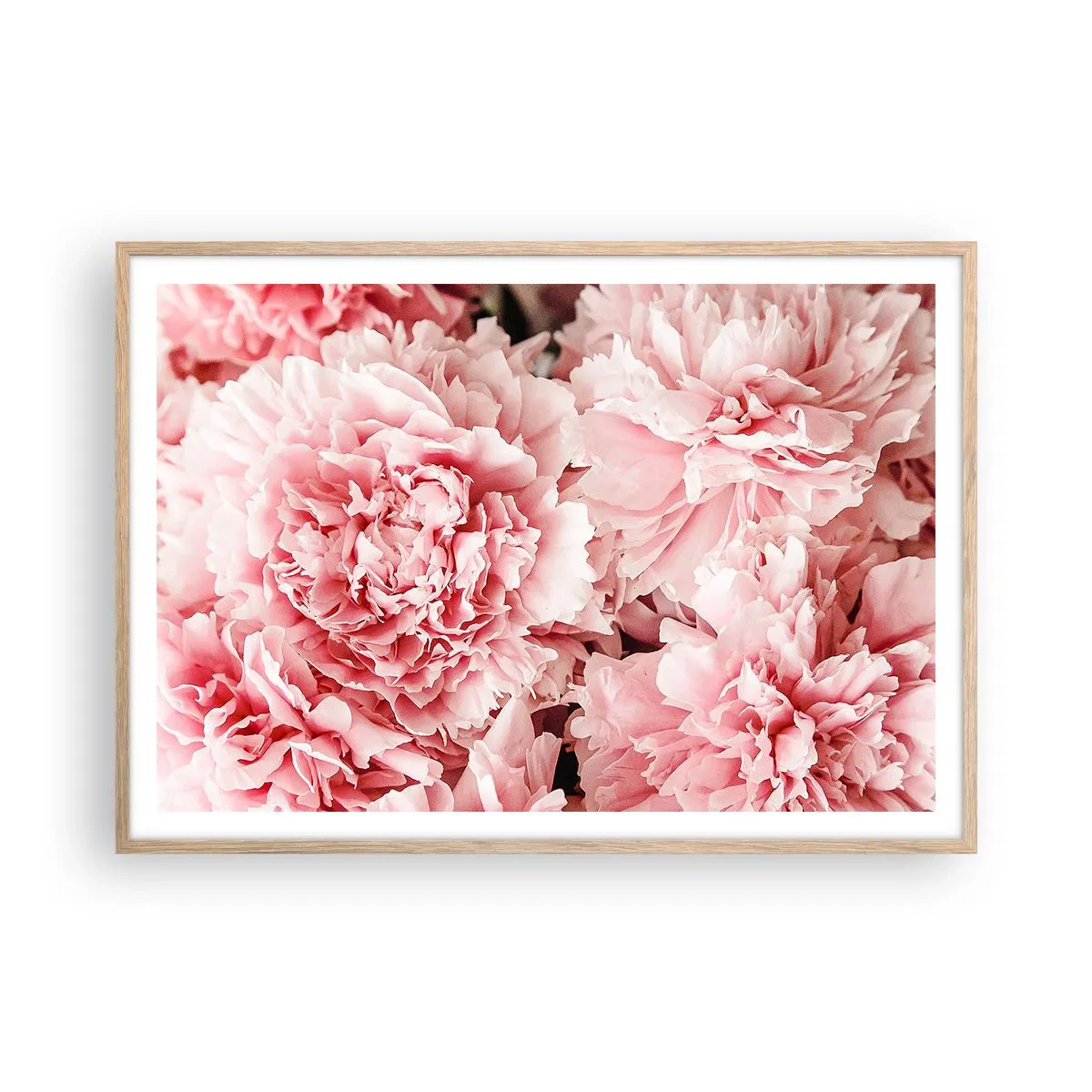 Een poster in een licht eiken lijst - Roze droom - 100x70 cm