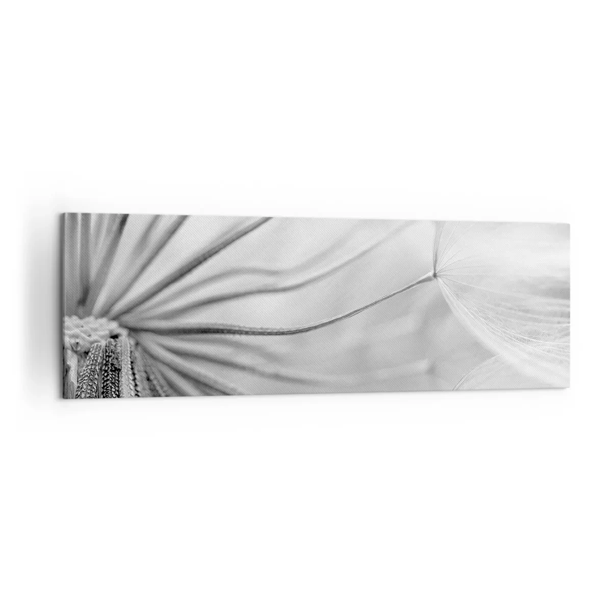 Schilderen op canvas - Paardebloemen, vliegers - 160x50 cm